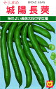 ソラマメ 種 『城陽長莢』 丸種