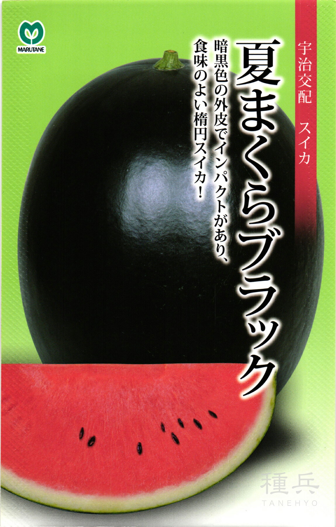 ʼͥåȥåԥ󥰤㤨ֹĹʱ߷  زƤޤ֥å ݼפβǤʤ605ߤˤʤޤ