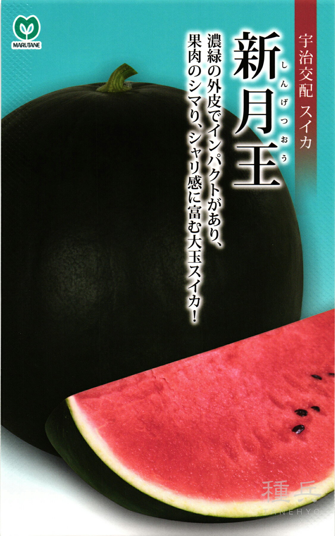 大玉スイカ 種 『新月王(しんげつおう)』 丸種