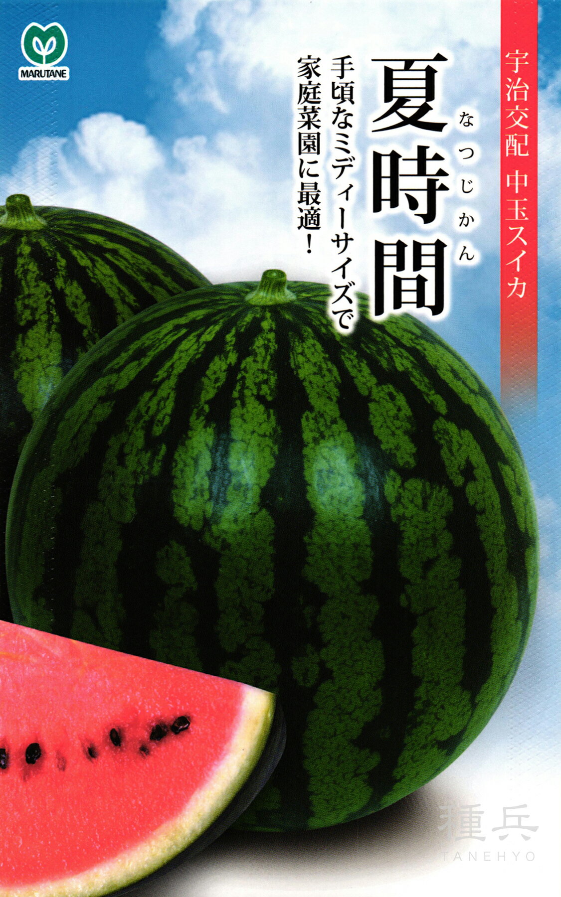 ʼͥåȥåԥ󥰤㤨̥  زƻ֡ʤʤĤˡ ݼפβǤʤ605ߤˤʤޤ