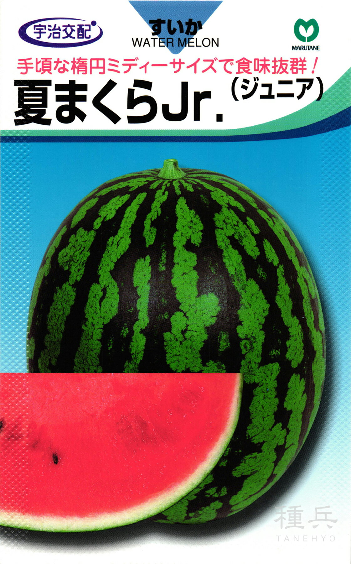 ʼͥåȥåԥ󥰤㤨̥  زƤޤJrʤʤĤޤ饸˥ˡ ݼפβǤʤ605ߤˤʤޤ