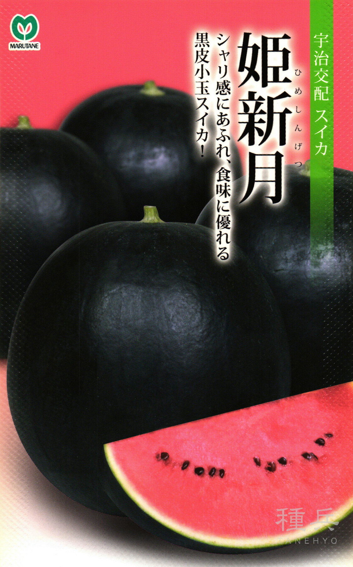 ※この種1mlあたり粒数の目安…12.5粒シャリ感にあふれ、食味に優れる黒皮小玉スイカ！【特長】●外皮は縞がほとんど見えない暗緑色で特徴的な外観の黒皮赤肉小玉スイカです。●草勢はやや強く、葉は切れ込みが深く小ぶりです。果形は豊円形、果重2.5kg前後でよく揃います。●果肉は鮮紅色、糖度は12度以上で安定し、シャリ感の強い食感で美味しいスイカです。肉質がシマっているため棚持ちの良い品種です。●外皮は薄いですが、硬いため生育中の生理的裂皮、裂果はほとんどなく、輸送性に優れます。●熟期は「姫甘泉」と同程度で、6月収穫で交配後35〜38日、7月収穫で30〜32日が目安となります。【栽培の要点】●大玉スイカに比べて、30％程度減肥します。●果実の日裏は着色しにくいので、まんべんなく発色させるため、遅くとも収穫1週間前には玉返しを行って下さい。●草勢が弱ると果皮の色が薄くなり、高温期には玉焼けの原因にもなるので、収穫時期まで草勢を維持するようにします。●外観や打音からの収穫期判断は困難なため、必ず着果標識を行い、試し切りにより判断してください。 ご注文の際は必ずお読みください 【商品の発送について】 ◆お取り寄せ品につき、出荷までに若干の日数を頂戴しております。通常2〜7営業日程度の出荷となりますが、正月・盆・GW期間などはメーカー休業のため、さらに日数を頂戴する場合があります。 ◆商品は予告なしにメーカー在庫切れまたは廃盤になる可能性があり、発送までしばらくお待ちいただく場合や、キャンセルさせていただく場合があります（メールで連絡いたします）。 ◆ご注文の一部が在庫切れの場合、在庫のある商品を先に出荷し、在庫切れ品は入荷後の出荷とさせていただきます（後送分の送料は当店にて負担致します）。 ◆メール便は普通郵便を使用し、配達状況の追跡はできません。また、配達に2〜5営業日程度かかり、土日祝日の配達はお休みとなりますので、余裕を持った注文をお願いします。 【種子について】 ◆ご注文時点でのお取り寄せとなりますので、ご注文のタイミングよっては種子の有効期限が短い商品となる場合があります。早すぎるご注文は避け、ご自身の播種時期に合わせたご注文をお願いします。 ◆種子は発芽試験を受けた純良なものをご用意させていただきますが、播種後、温度や水分などが不適な条件下では発芽不良となる場合があります。 ◆栽培条件・天候等により生育に差が生じることがあり、また、結果が異なる場合があります。むやみな早まき遅まきを避け、適期の播種を心がけてください。 ◆種子の本質上、100%の純度は望めません。採種環境などにより異株が若干発生することがあります。 ◆商品のパッケージは、内容量の違いやデザインの変更などにより、掲載の写真と異なる場合があります。 ◆種子小袋の内容量は予告なく変更される場合があり、実際の内容量と若干異なる場合があります。 以上、ご注文に際し予めご了承下さい。
