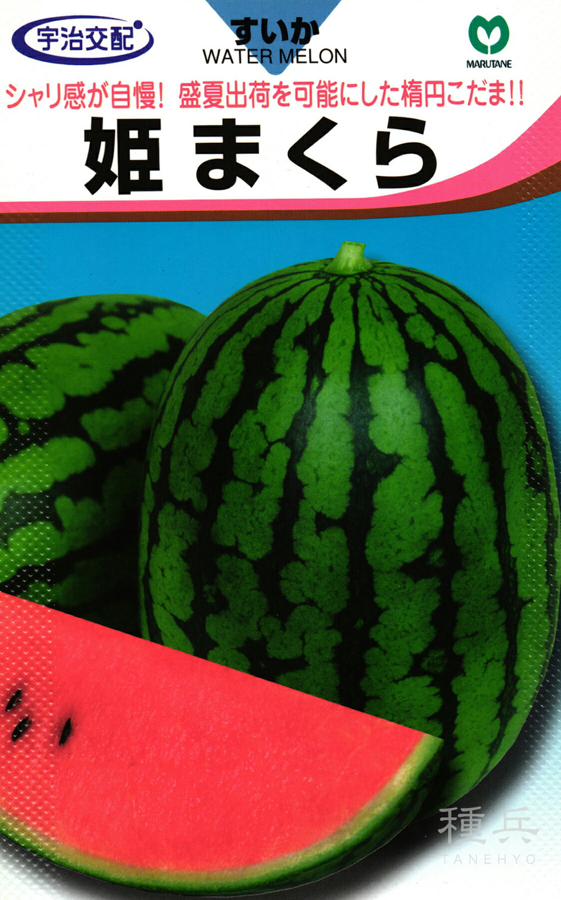 楕円小玉スイカ 種 『姫まくら』 丸種