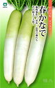 春ダイコン 種 『春かなで』 丸種