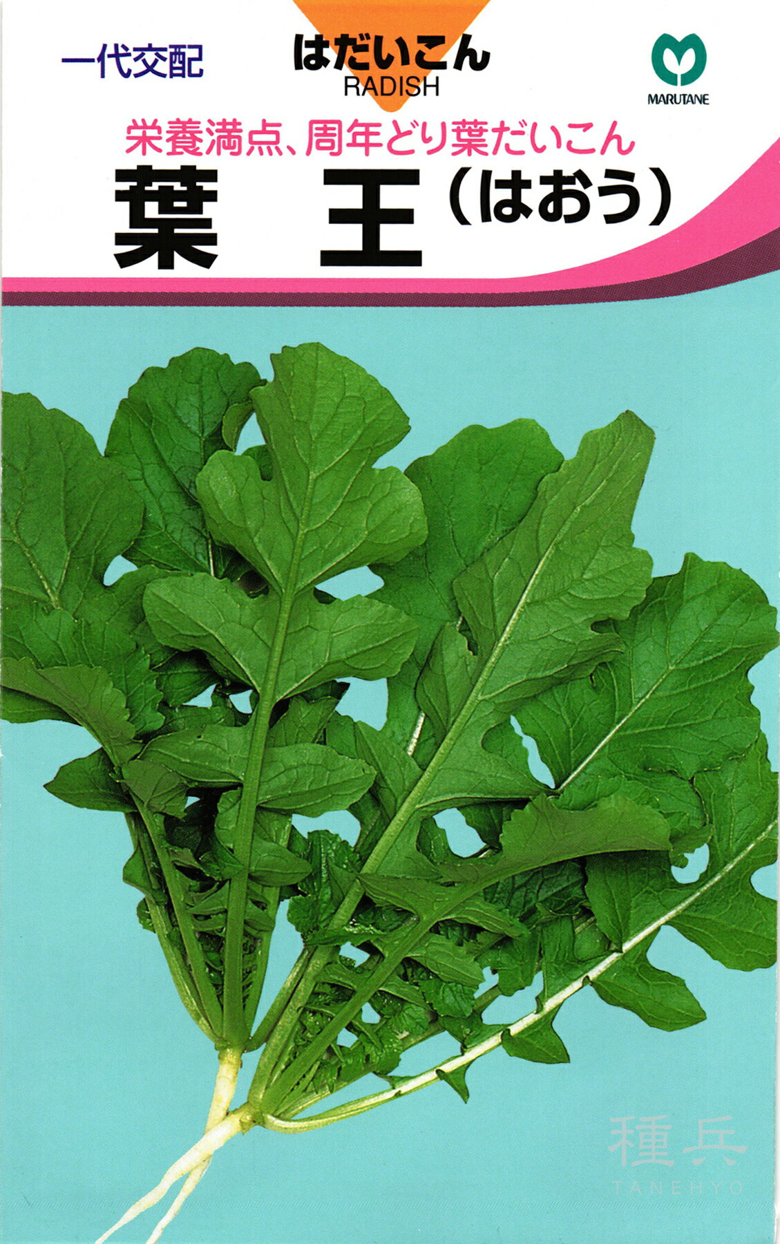 葉ダイコン 種 『葉王』 丸種