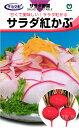 赤カブ 種 『サラダ紅かぶ』 丸種