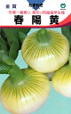 極早生タマネギ 種 『春陽黄』 丸種