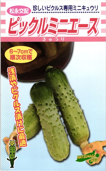 ミニキュウリ 種 『ピックルミニエース』 松永種苗/小袋（25粒）