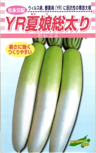 夏ダイコン 種 『YR夏娘総太り大根』 松永種苗/20ml