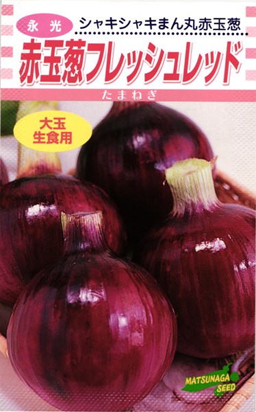 赤タマネギ 種 『フレッシュレッド』 松永種苗/小袋（4ml）