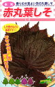 赤しそ 種 『赤丸葉しそ』 松永種苗