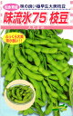 エダマメ 種 『味流氷75枝豆』 松永種苗