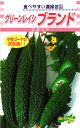 ニガウリ 種 『グリーンレイシ ブランド』 松永種苗