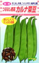 つるなしインンゲン 種 『つるなし穂高・カルナ菜豆』 松永種苗