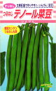 つるなしインンゲン 種 『テノール菜豆』 松永種苗