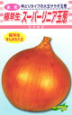 極早生タマネギ 種 『スーパーリニア』 松永種苗