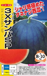 種なしスイカ 種 『3XサンバSP』 ナント種苗/小袋（10粒）