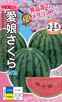 紅小玉スイカ 種 愛娘さくら 0粒 ナント種苗 種兵ネットショッピング 野菜の種子 メール便 ガーデニング 農業 Ok 種子 西瓜 たね 紅小玉スイカ 種 愛娘さくら 0粒 ナント種苗 種兵ネットショッピング 野菜の種子 メール便 ガーデニング 農業 Ok 種子 西瓜 たね