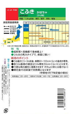 黒皮栗カボチャ　種　『こふき』　小袋（8粒）　ナント種苗