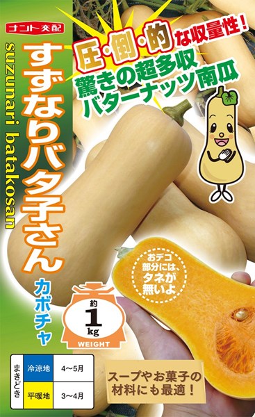 バターナッツ南瓜 種 『すずなりバタ子さん』 ナント種苗/小袋（6粒）