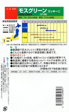 ズッキーニ 種 『モスグリーン』 100粒 ナント種苗