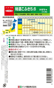 黒皮栗カボチャ　種　『特濃こふき5．6』　小袋（8粒）　ナント種苗