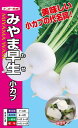 小カブ 種 『みやま早生』 20ml ナント種苗 小カブ 種 『みやま早生』 20ml ナント種苗