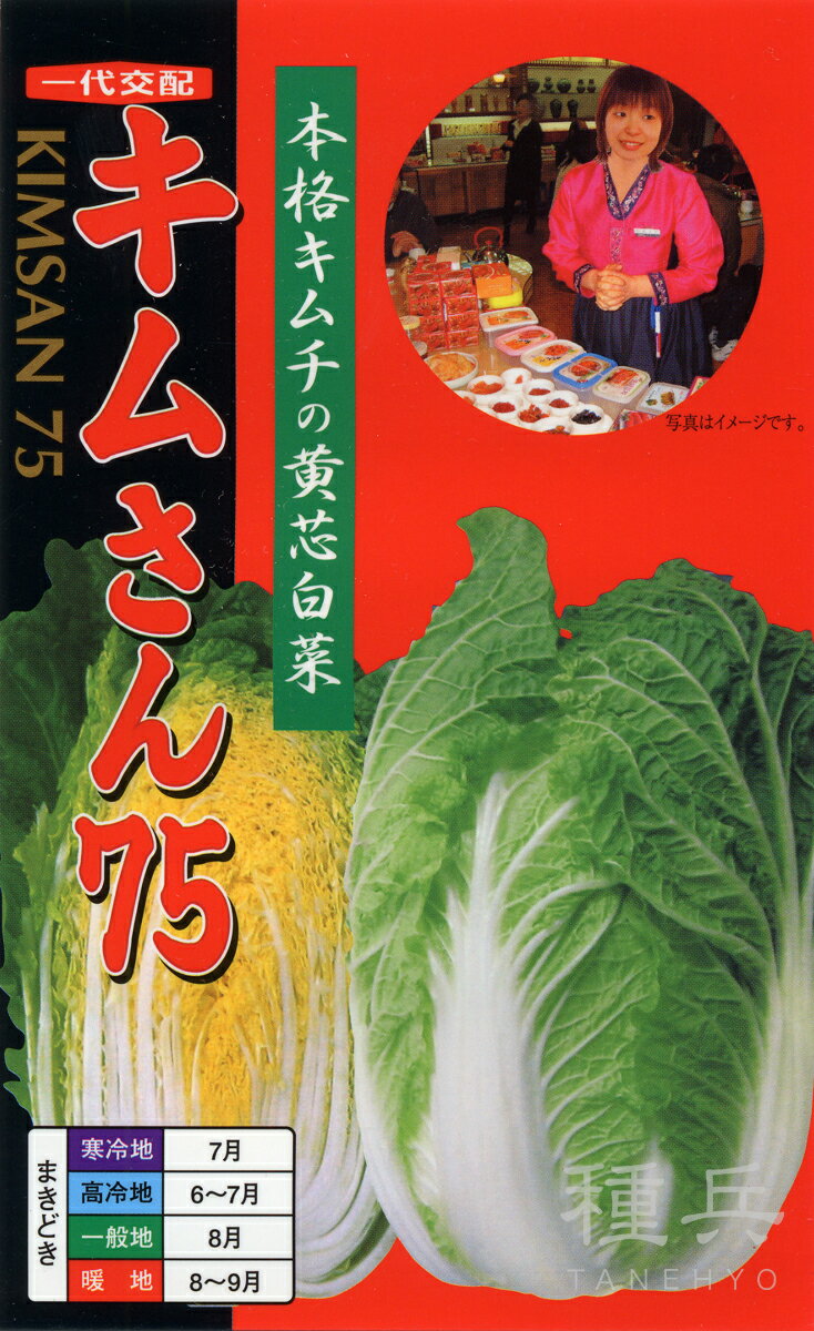 ※この種1mlあたり粒数の目安…175〜250粒キムチだけではなくお鍋でも美味しい韓国白菜【特長】●日本の気象にマッチした韓国の人気品種をお届けします。●球重3〜3.5kg。葉数系、半包皮の75日中生種で在圃性良好。●外葉の黄化が少なくべと病に強く、軟腐・ウイルス病には中程度。ゴマ症、縁腐れ、ホウ素欠乏などの生理障害に強い。●従来の日本の品種と比較して球内水分が少なく、繊維が緻密なため、キムチ・浅漬けにするとしっかりした歯ごたえ。白菜本来のうま味が外に逃げ難いため、鍋料理や炒め料理でも非常に美味しい。 ご注文の際は必ずお読みください 【商品の発送について】 ◆お取り寄せ品につき、出荷までに若干の日数を頂戴しております。通常2〜7営業日程度の出荷となりますが、正月・盆・GW期間などはメーカー休業のため、さらに日数を頂戴する場合があります。 ◆商品は予告なしにメーカー在庫切れまたは廃盤になる可能性があり、発送までしばらくお待ちいただく場合や、キャンセルさせていただく場合があります（メールで連絡いたします）。 ◆ご注文の一部が在庫切れの場合、在庫のある商品を先に出荷し、在庫切れ品は入荷後の出荷とさせていただきます（後送分の送料は当店にて負担致します）。 ◆メール便は普通郵便を使用し、配達状況の追跡はできません。また、配達に2〜5営業日程度かかり、土日祝日の配達はお休みとなりますので、余裕を持った注文をお願いします。 【種子について】 ◆ご注文時点でのお取り寄せとなりますので、ご注文のタイミングよっては種子の有効期限が短い商品となる場合があります。早すぎるご注文は避け、ご自身の播種時期に合わせたご注文をお願いします。 ◆種子は発芽試験を受けた純良なものをご用意させていただきますが、播種後、温度や水分などが不適な条件下では発芽不良となる場合があります。 ◆栽培条件・天候等により生育に差が生じることがあり、また、結果が異なる場合があります。むやみな早まき遅まきを避け、適期の播種を心がけてください。 ◆種子の本質上、100%の純度は望めません。採種環境などにより異株が若干発生することがあります。 ◆商品のパッケージは、内容量の違いやデザインの変更などにより、掲載の写真と異なる場合があります。 ◆種子小袋の内容量は予告なく変更される場合があり、実際の内容量と若干異なる場合があります。 以上、ご注文に際し予めご了承下さい。