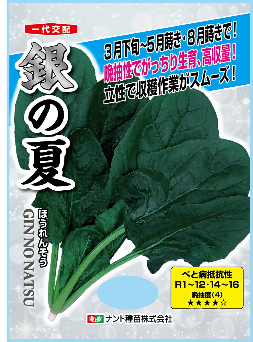 ホウレンソウ 種 『銀の夏』 ナント種苗