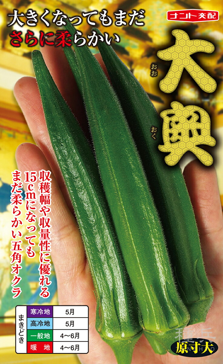 オクラ 種 『大奥』 ナント種苗のサムネイル
