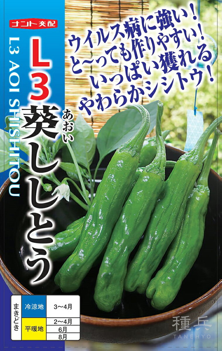 トウガラシ・シシトウ 種 『L3葵ししとう』 ナント種