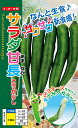 甘長トウガラシ 種 『サラダ甘長(甘味とうがらし)』 ナント種苗