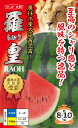 大玉スイカ 種 『羅皇』 ナント種苗