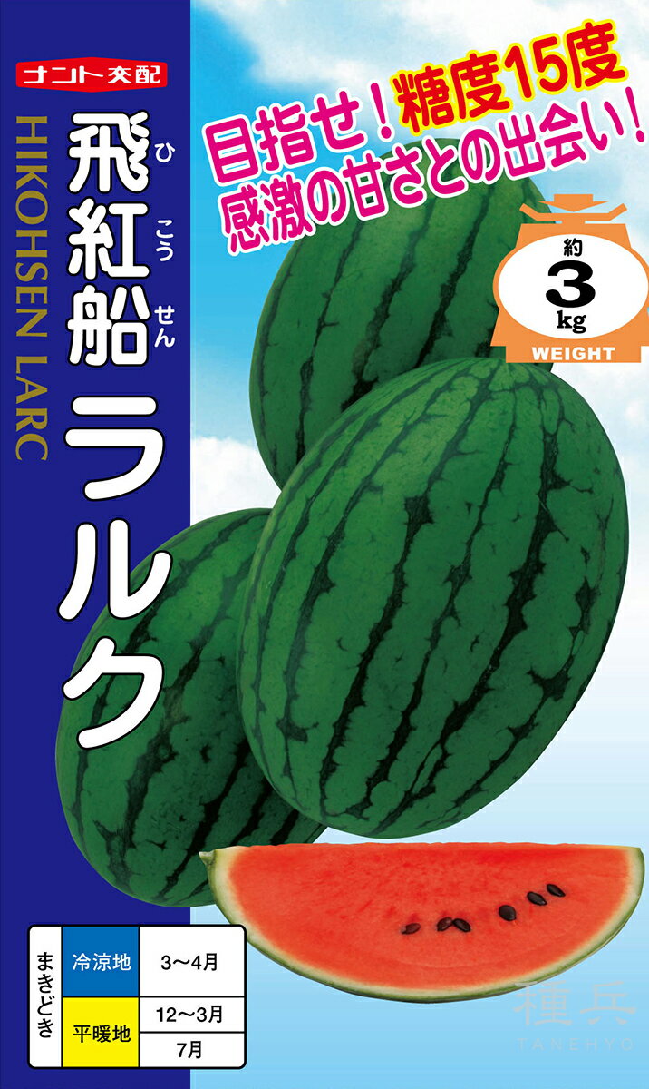 楕円紅小玉スイカ 種 『飛紅船ラルク』 ナント種苗