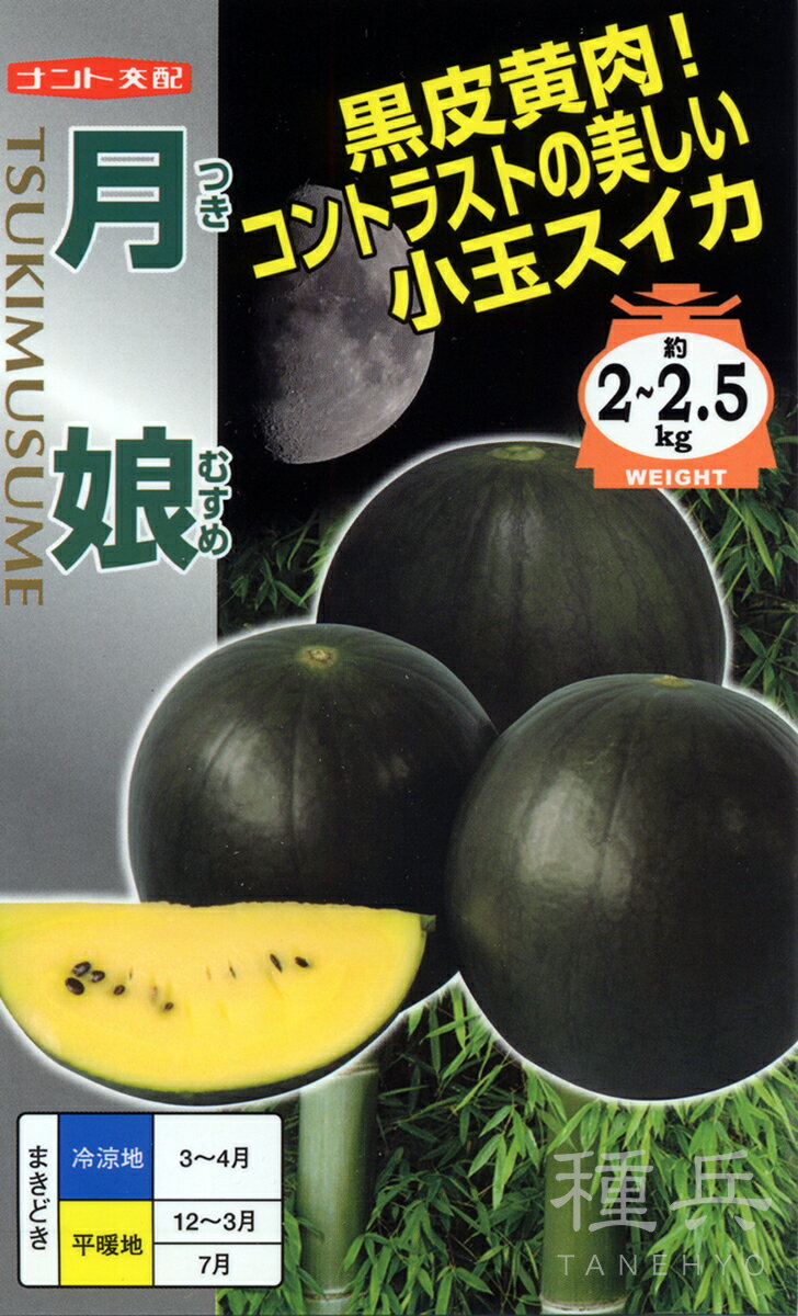 黄小玉スイカ 種 『月娘』 ナント種苗
