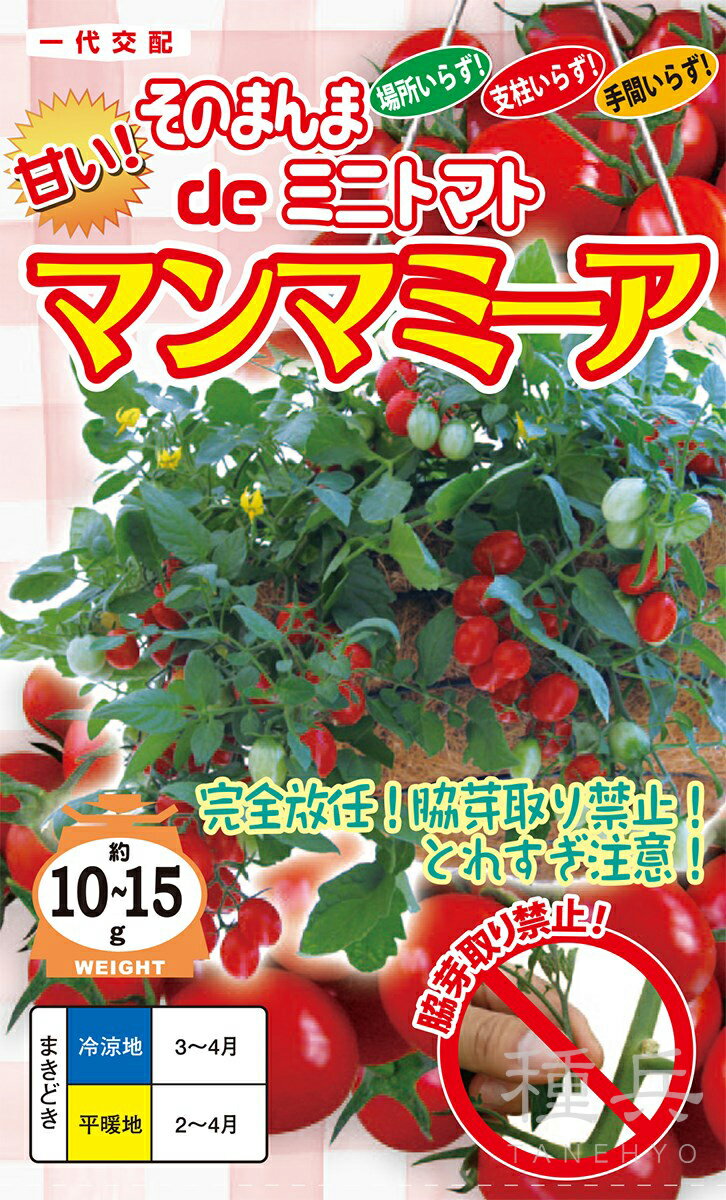 ミニトマト 種 『マンマミーア（そのまんまdeミニトマト）』 ナント種苗