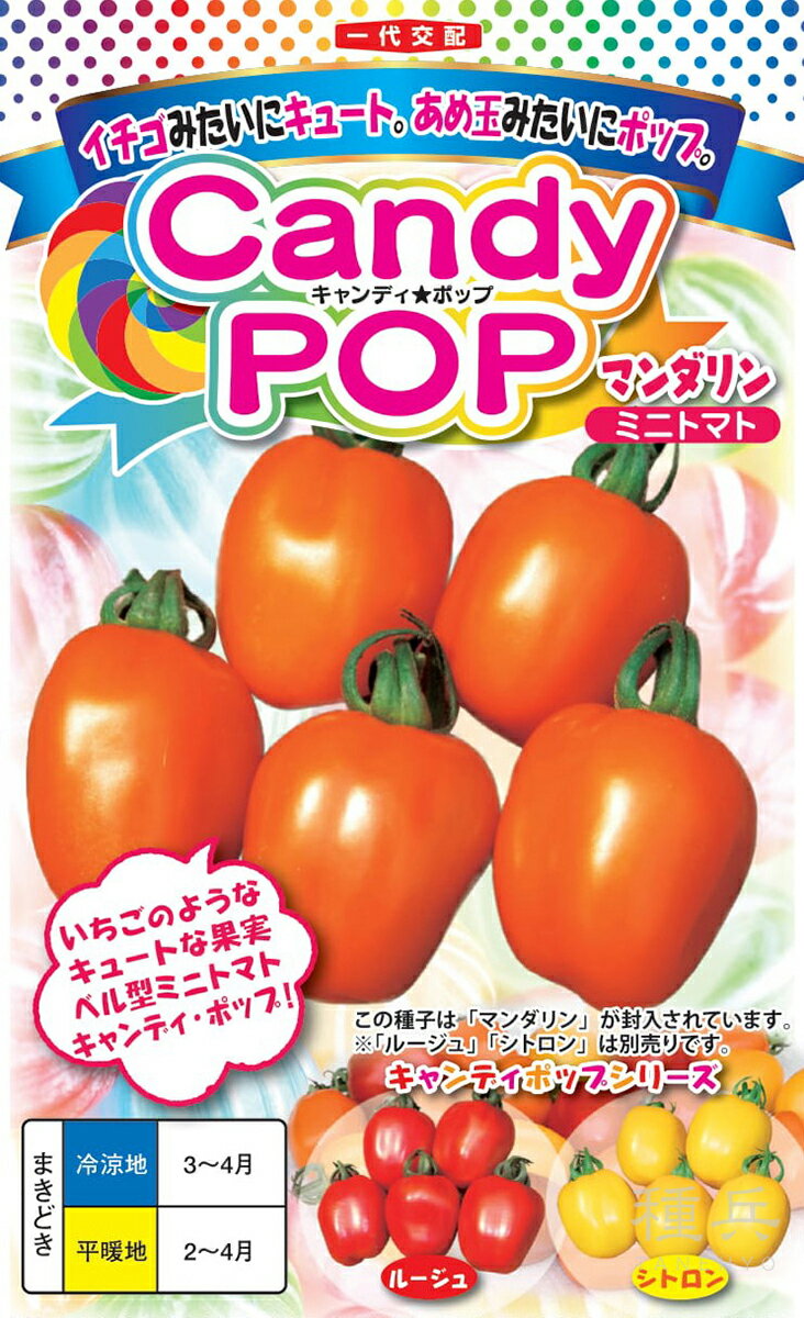 ベル型ミニトマト 種 『キャンディポップ マンダリン』 ナント種苗