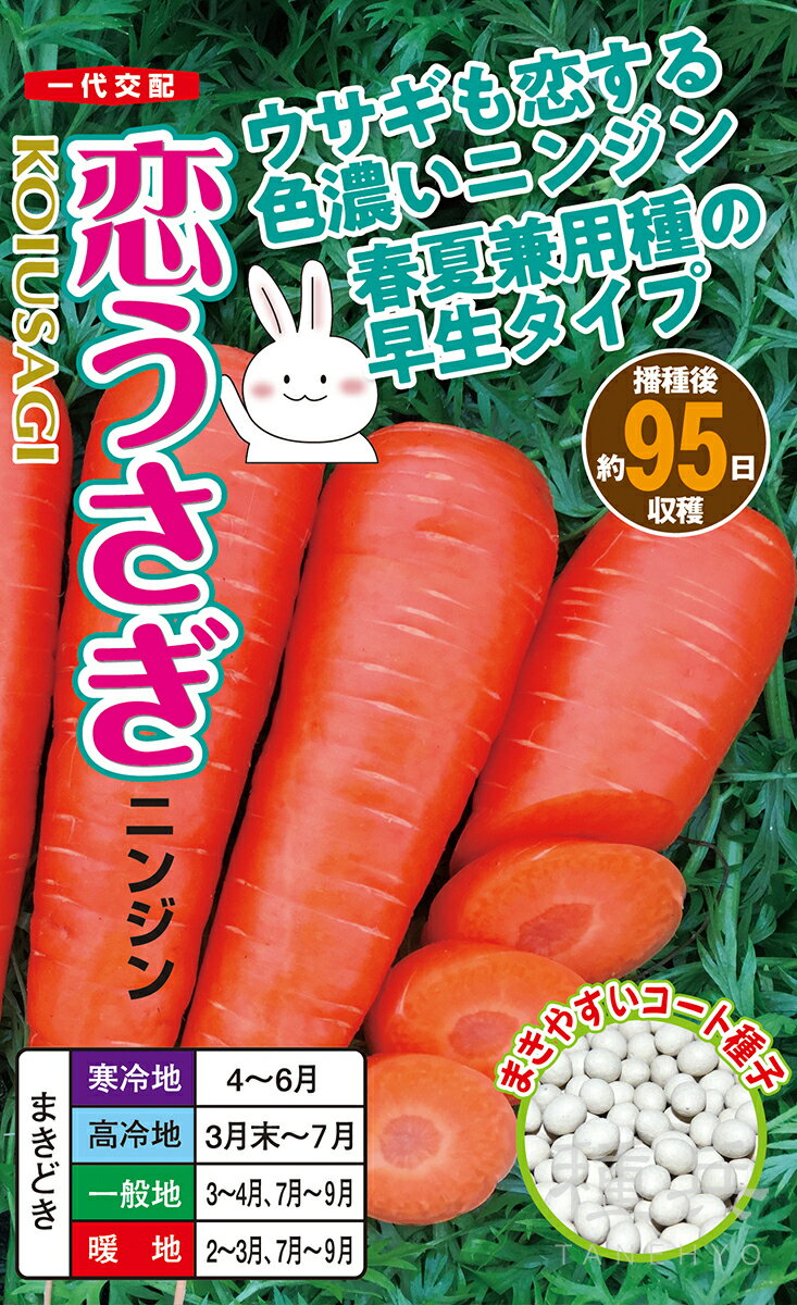 ニンジン 種 『恋うさぎ』 ナント種苗