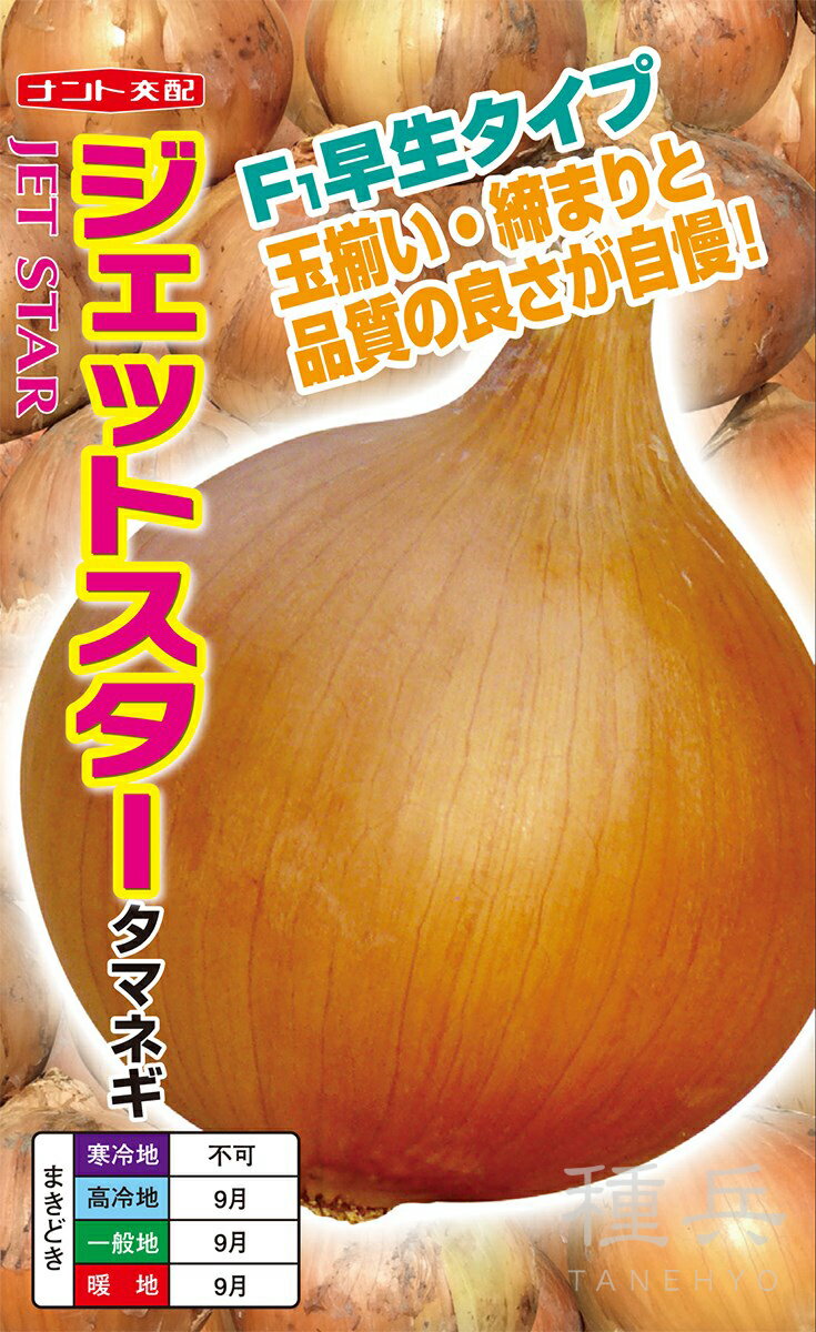 早生タマネギ 種 『ジェットスター』 ナント種苗のサムネイル