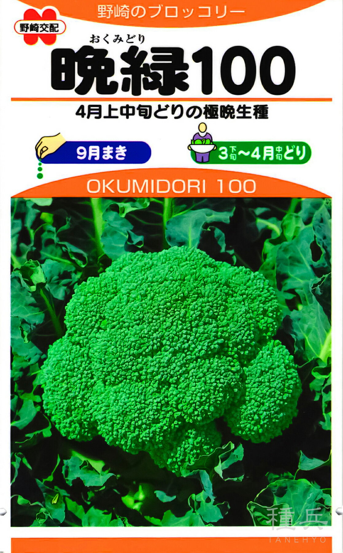 【モリ】ブロッコリー コート種子(クリア1缶)(晩緑2缶) 楽天市場】ブロッコリー 晩緑の通販