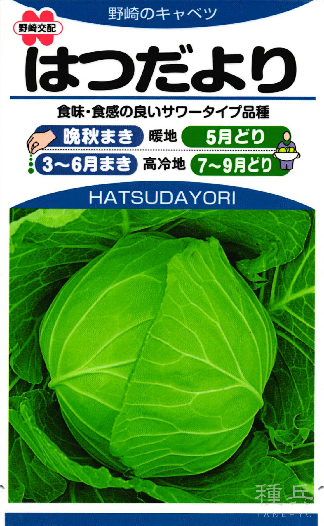 サワーキャベツ 種 『はつだより』 野崎採種場