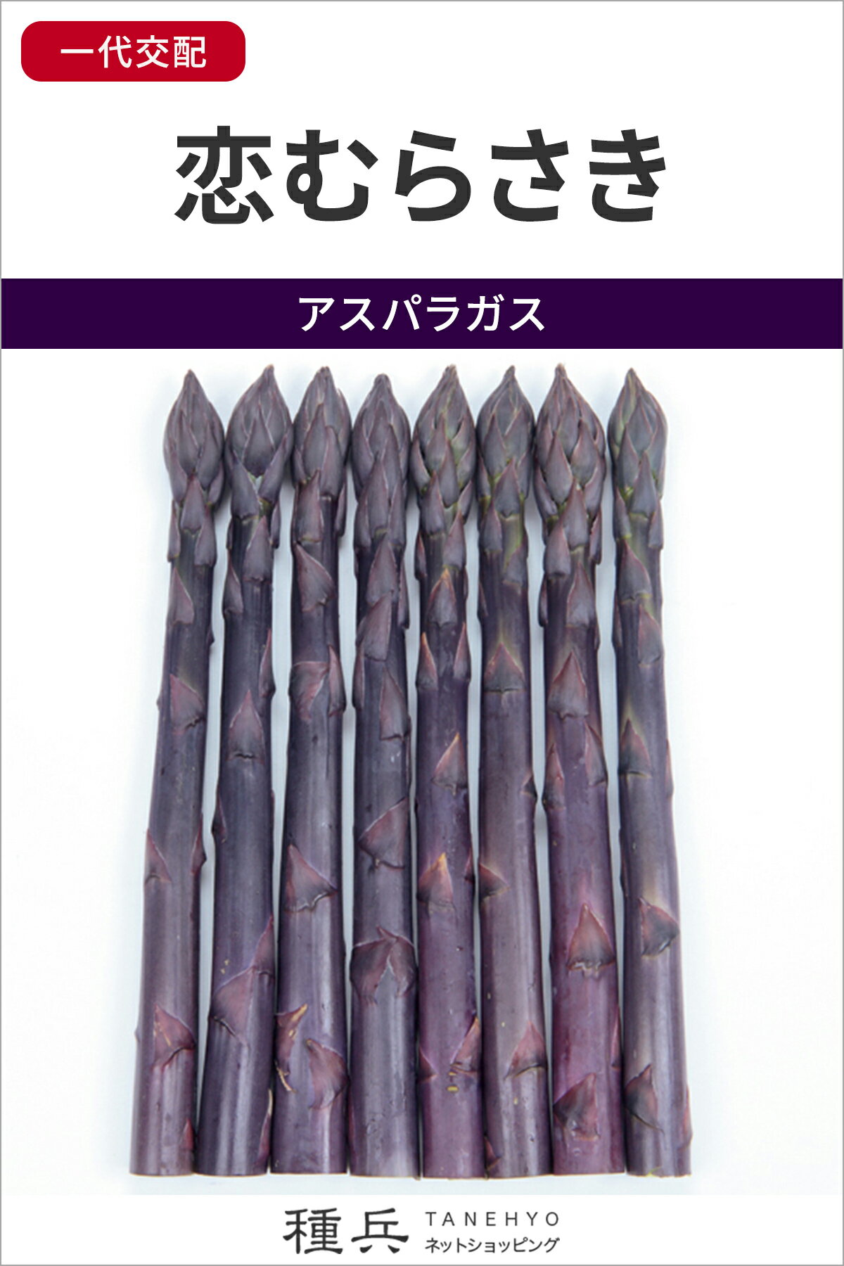 アスパラガス 種 『恋むらさき』 サカタのタネ