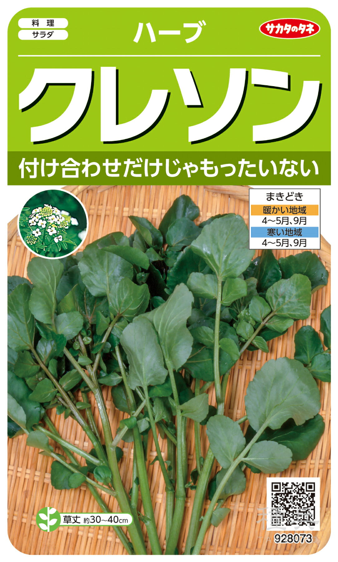 ハーブ 種 『クレソン』 サカタのタネ