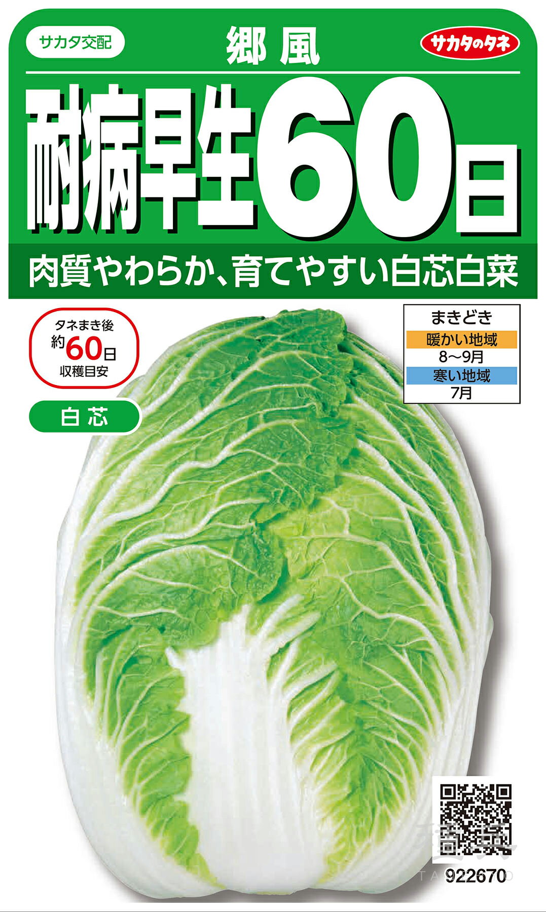 ハクサイ 種 『耐病早生60日 「郷風」』 サカタのタネのサムネイル