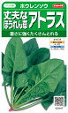 ホウレンソウ 種 『アトラス』 サカタのタネ