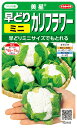 カリフラワー 種 『美星』 サカタのタネ