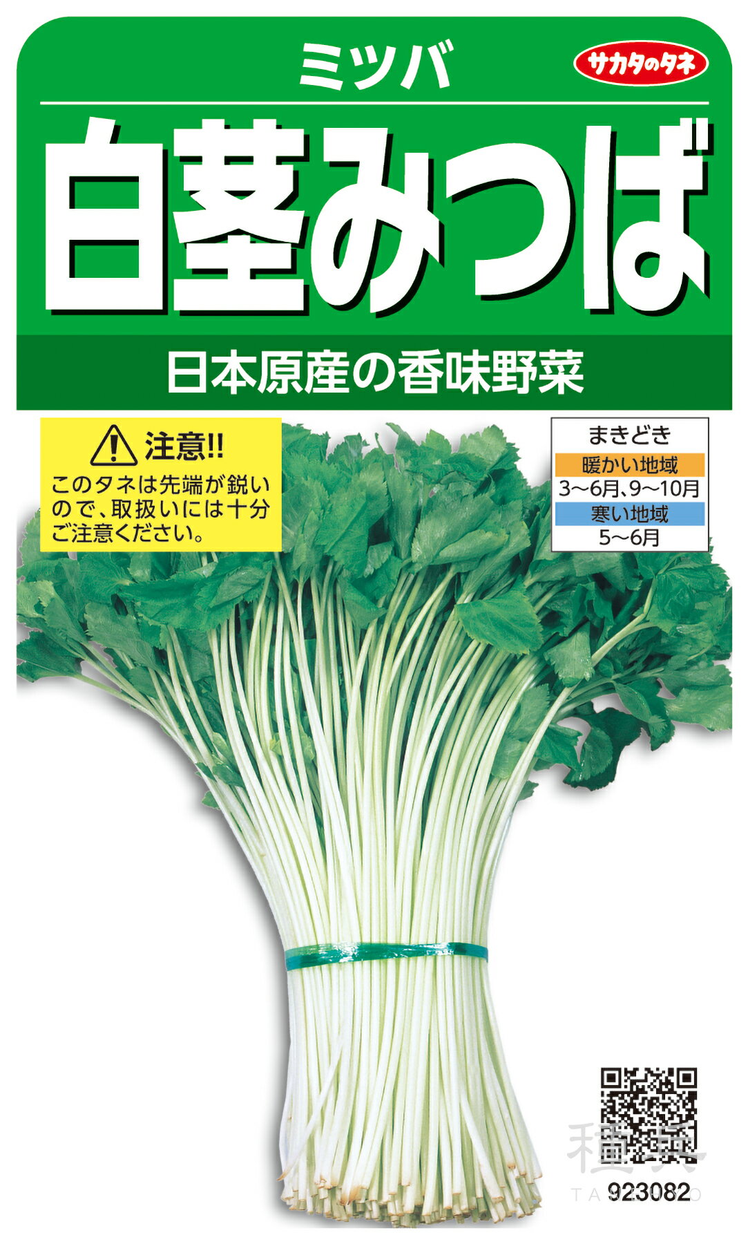 ミツバ 種 『白茎みつば』 サカタのタネのサムネイル