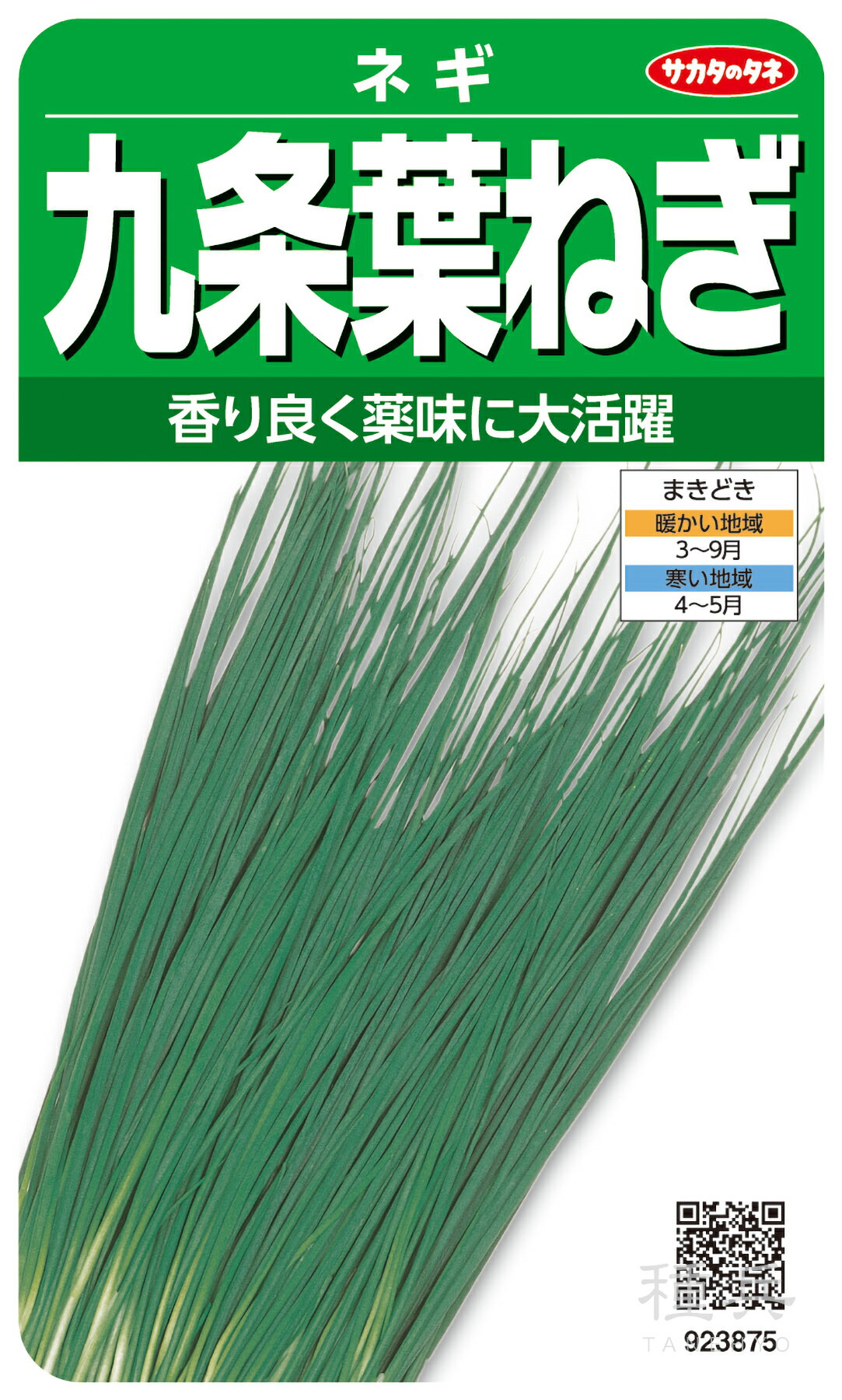 ネギ 種 『九条葉ねぎ』 サカタのタネのサムネイル