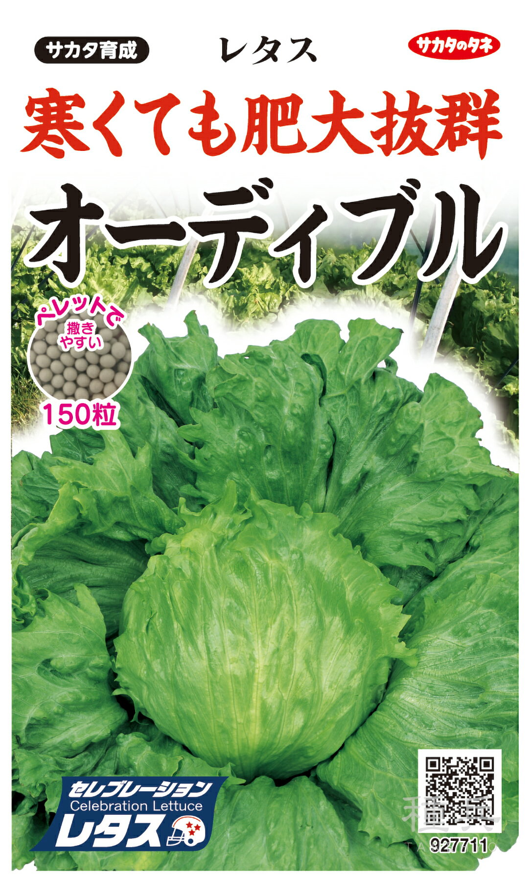 ʼͥåȥåԥ󥰤㤨֥쥿  إǥ֥ Υ͡פβǤʤ605ߤˤʤޤ