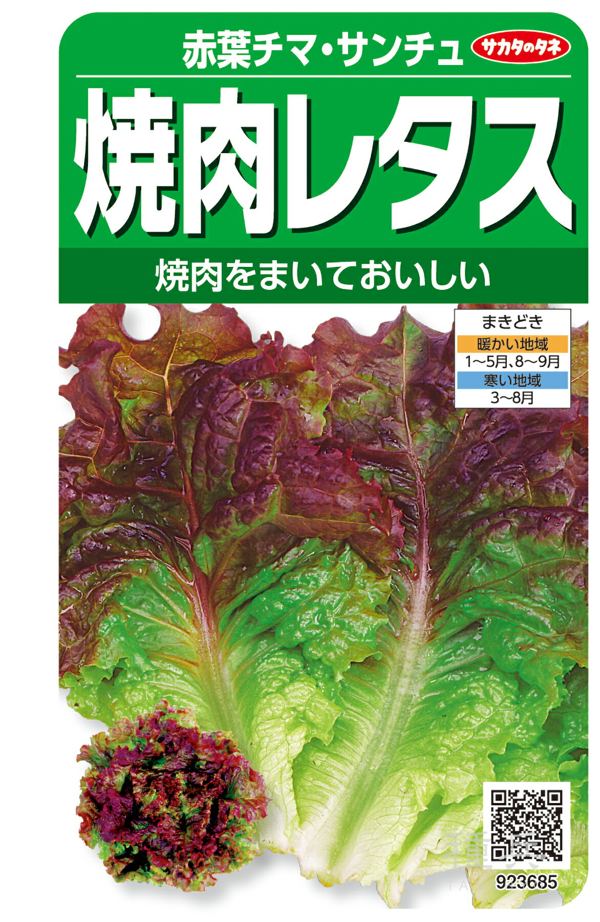 レタス類 種 『赤葉チマ・サンチュ』 サカタのタネ